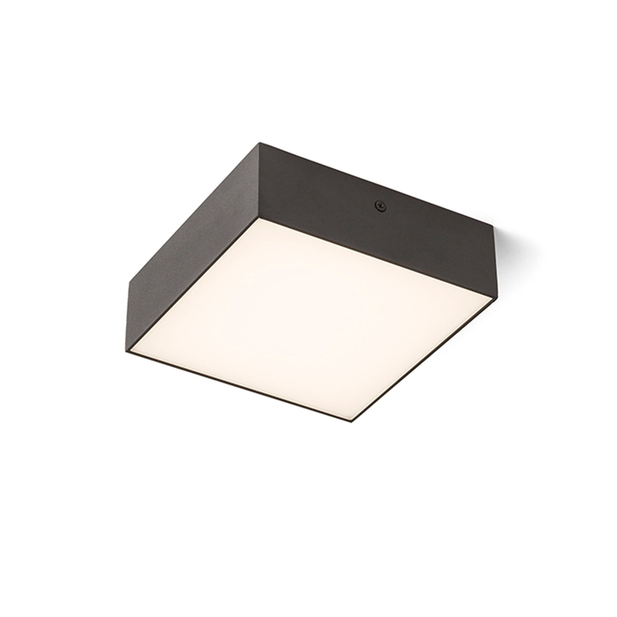 LARISA SQ 17 | lámpara de techo LED cuadrada | 15W 1200lm 3000K | 17 x 17 cm | blanca o negra