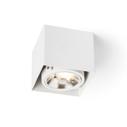 JAMES I | kantelbare opbouwspot | LED 15W 800lm 3000K | dimbaar | mat wit