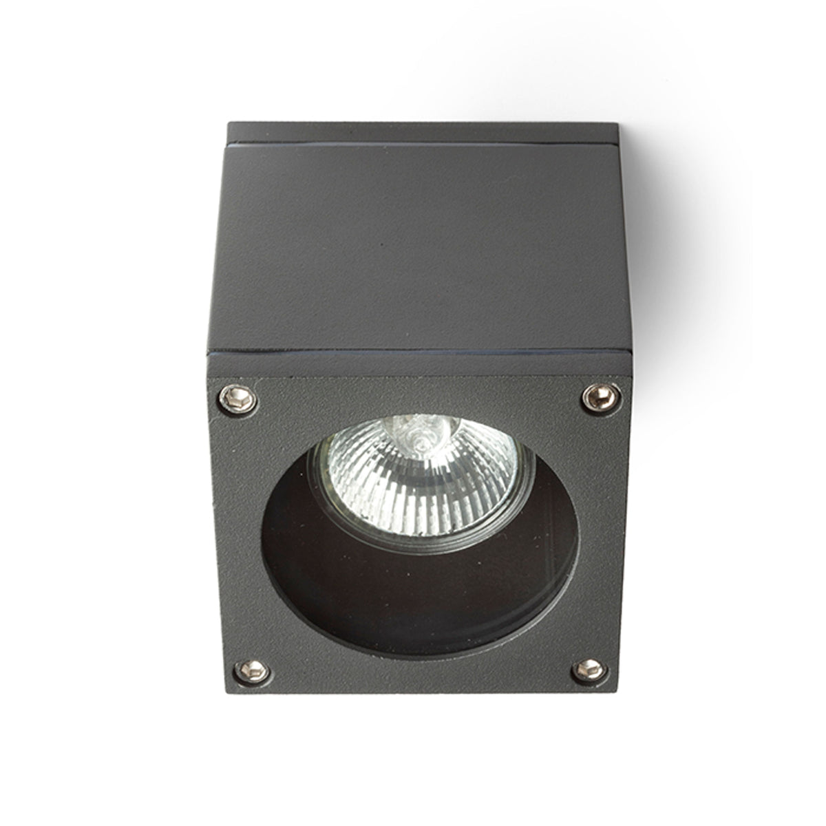 RODGE | buiten plafondlamp | GU10 | IP54 | antraciet grijs of wit | met of zonder lichtbron