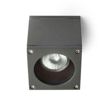 RODGE | buiten plafondlamp | GU10 | IP54 | antraciet grijs of wit | met of zonder lichtbron