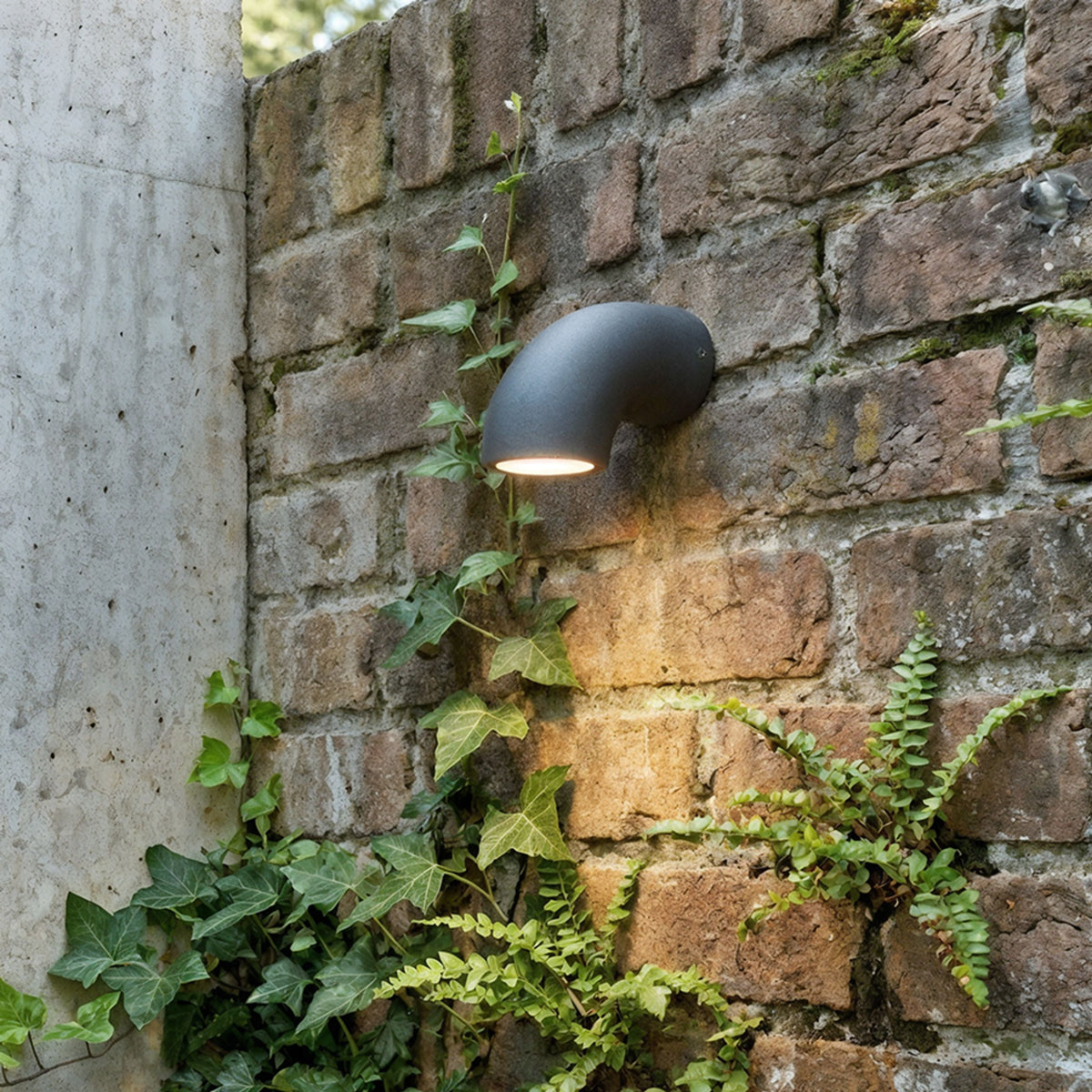 PIPER | tubusvormige buiten wandlamp | LED 6W 489lm 3000K | IP54 | antraciet