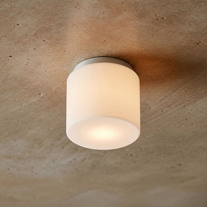 ARANA R 17 | lámpara de techo para baño | E27 | vidrio opalino sobre cromo 17 cm | IP44 | con o sin fuente de luz
