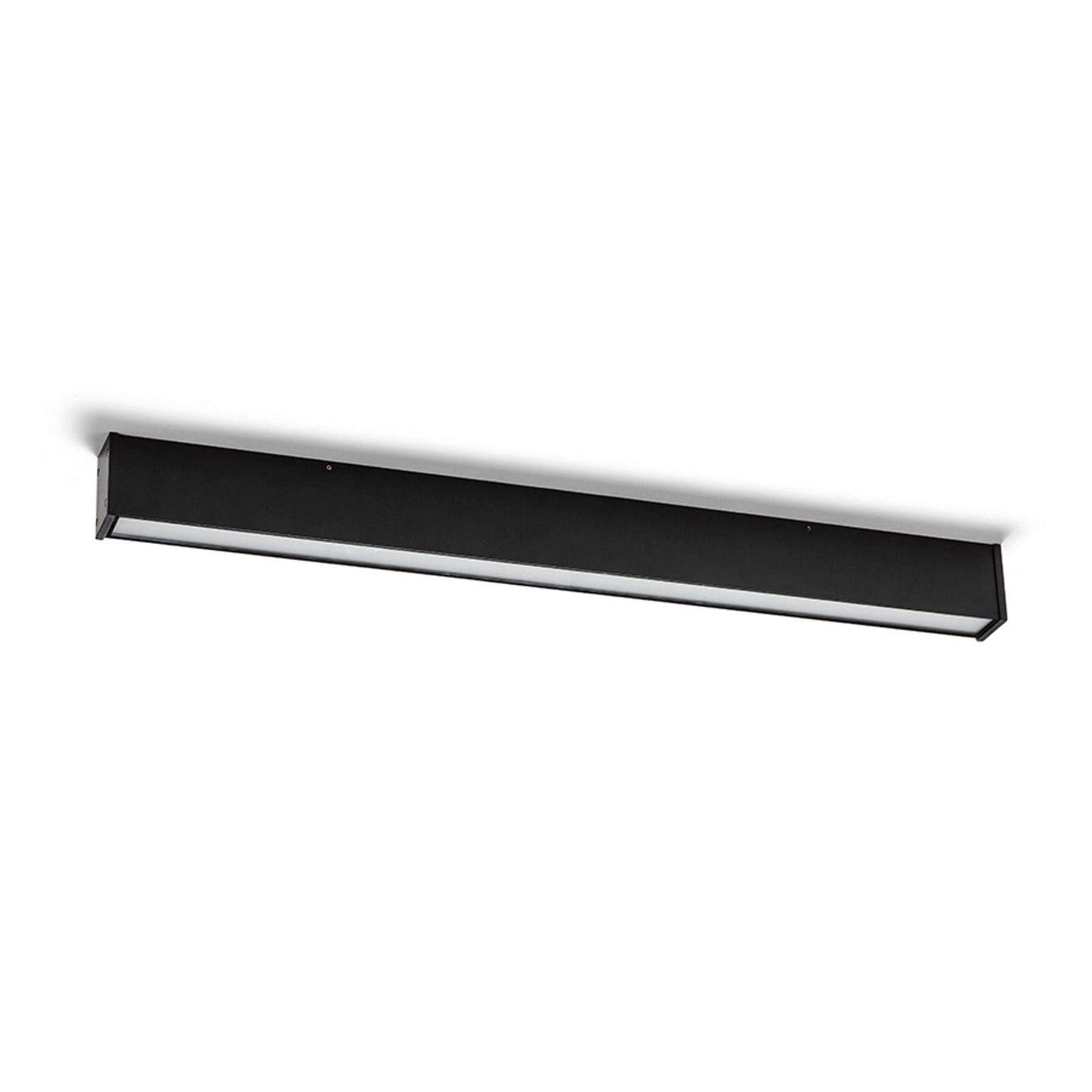CARME 100 detail