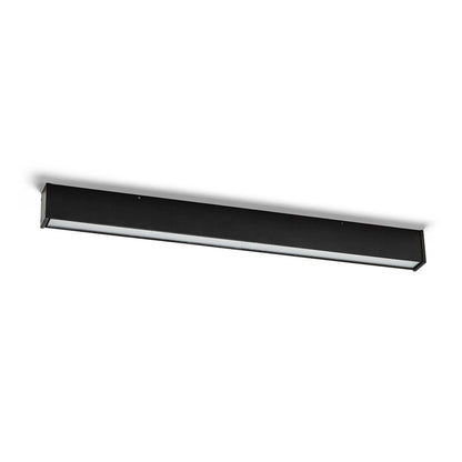 CARME 100 detail