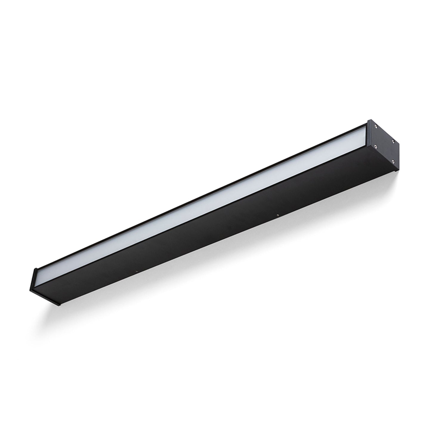 CARME 100 afmetingen