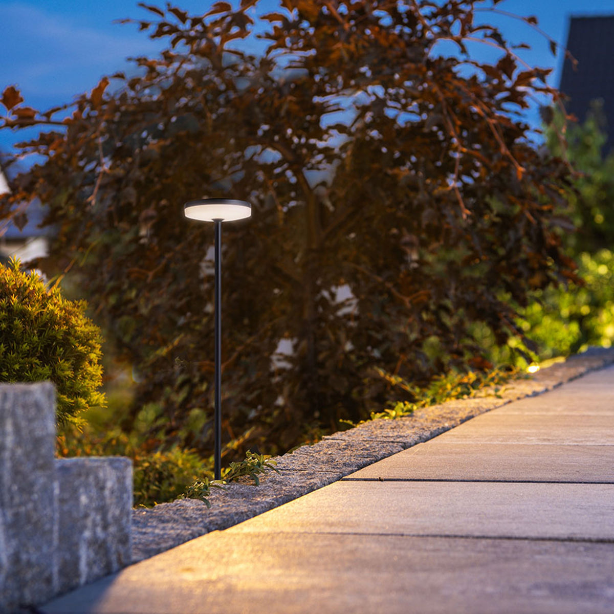 SEMPLICE 80 | tuinspies 101 cm | LED 12W 770lm | IP54 | zwart