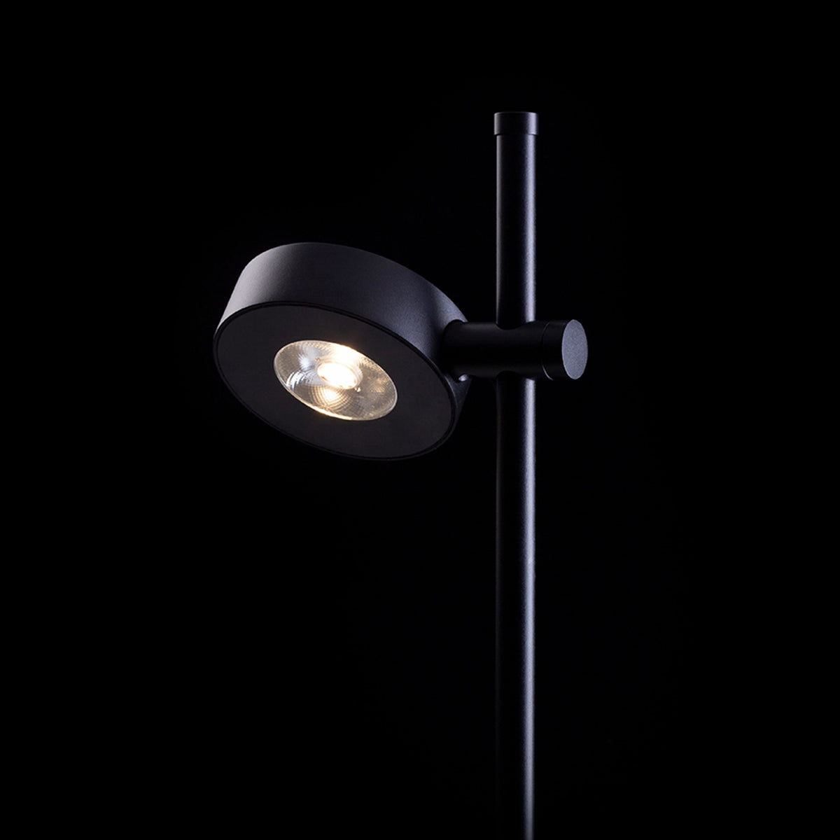 KATONA | LED tuinspot op grondpen met verstelbare hoogte | 7W 622lm 3000K | IP54 | zwart