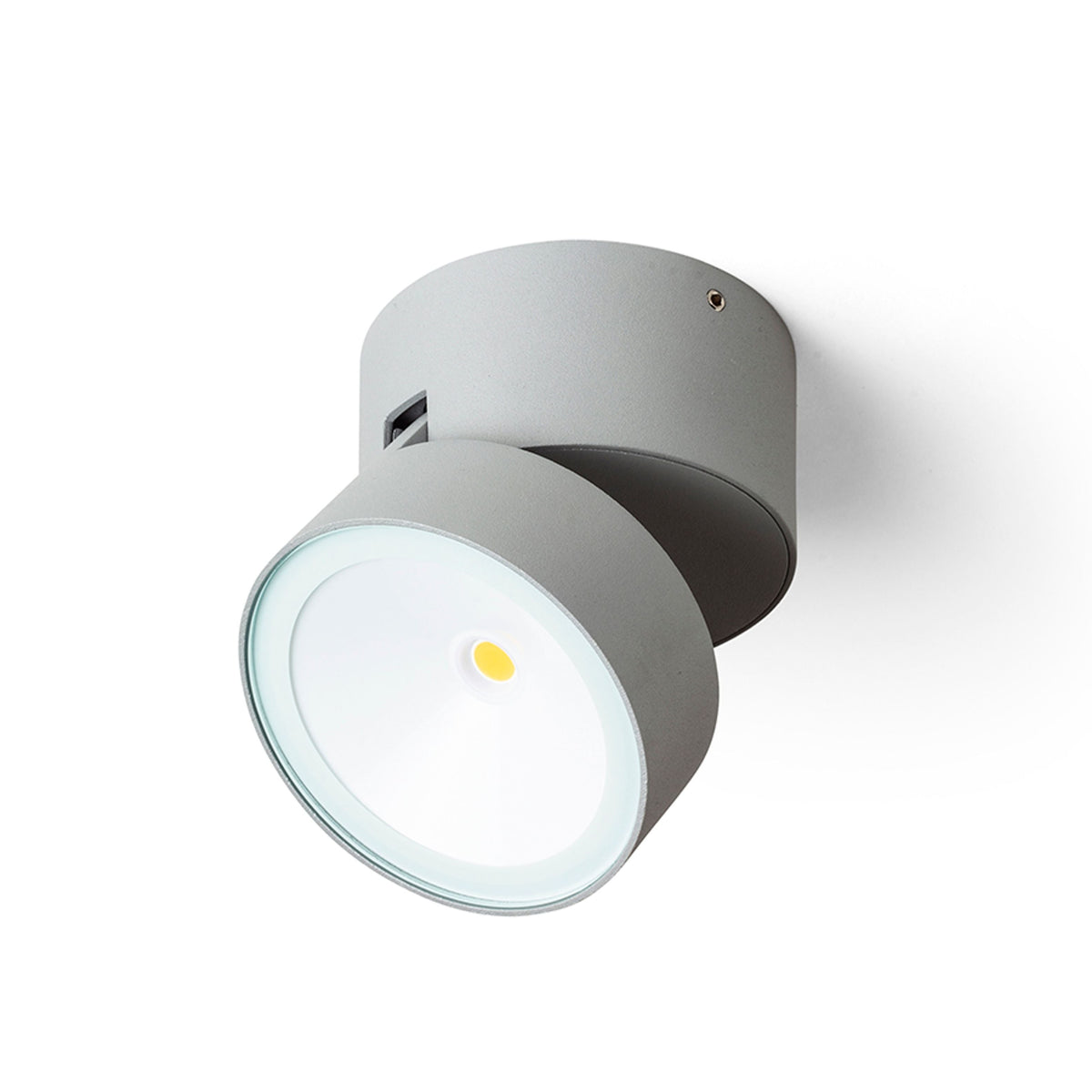 FLAVIO R | buiten opbouwspot kantelbaar | LED 6W 640lm 3000K | IP54 | zwart of lichtgrijs