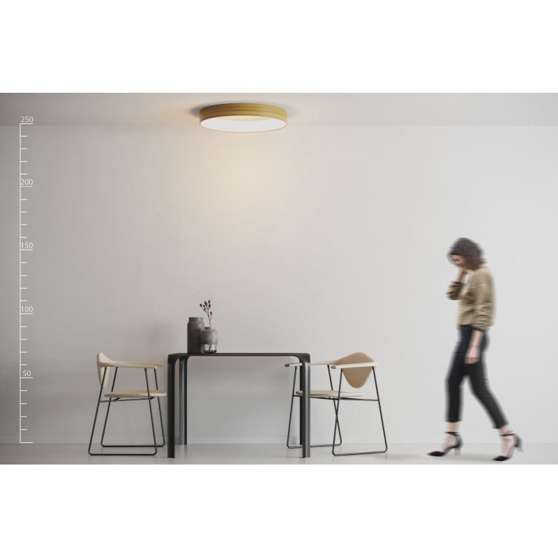 SILVAM 65 TOP sfeerbeeld
