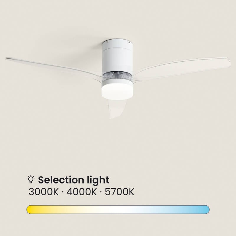 Larivo Wit Transparant licht